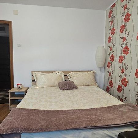 피아트라네암츠 Casa Suzana 아파트 외부 사진