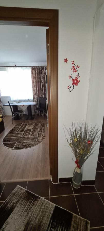 피아트라네암츠 Casa Suzana 아파트 외부 사진
